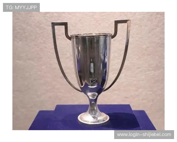 卡塔尔世界杯奖杯的收藏价值与未来发展趋势分析